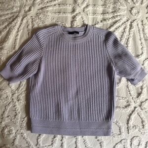 Ann Taylor Lilac Knit Sweater Shirt (SP)